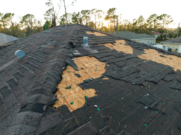 Best Storm Damage Roof Repair  in Townsend, MT
